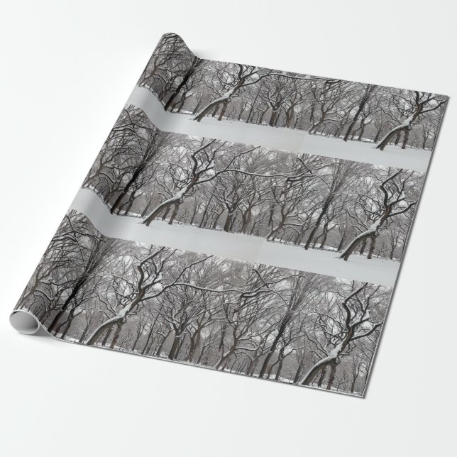 Snow Covered rees in Central Park NYC Wrapping Paper (Unrolled)