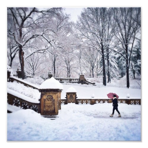 Snow_Covered Stairs In Central Park Photo Print