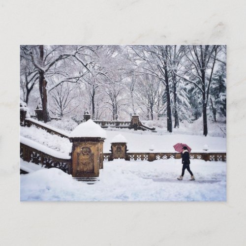 Snow_Covered Stairs In Central Park Postcard