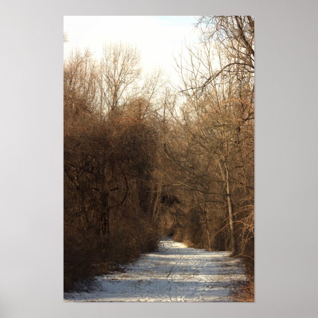 Snow Covered Trail Poster (Front)