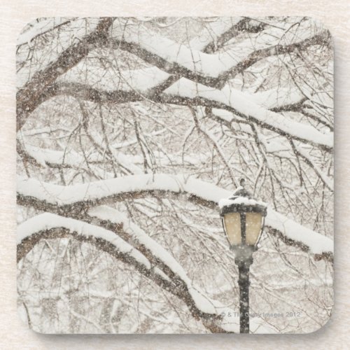 Snow Covered Tree 2 Coaster
