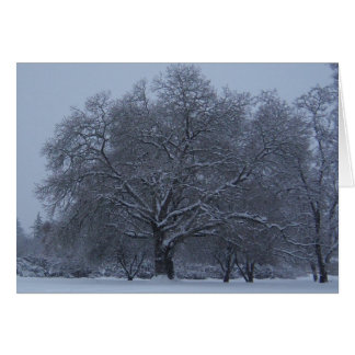 Snow covered tree cards