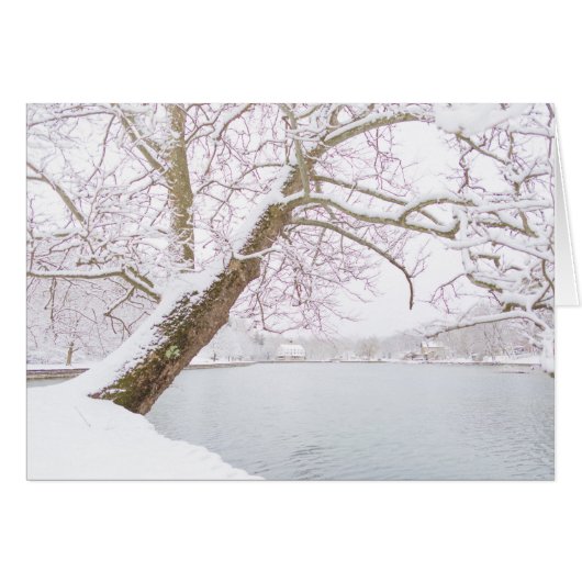 snow covered tree embraces pond cards (Front Horizontal)