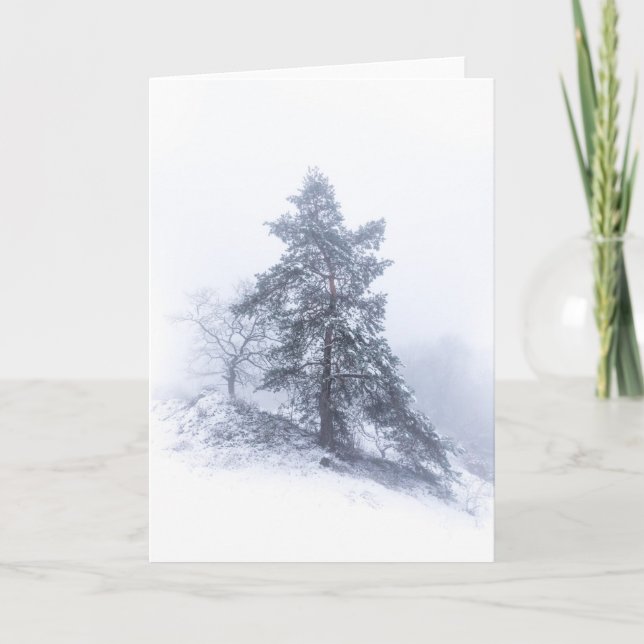 Snow-covered Tree Photo Card (Front)