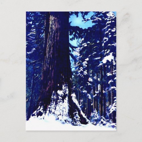 Snow Covered Tree Postcard