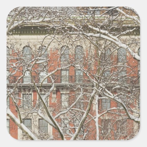 Snow Covered Tree Square Sticker