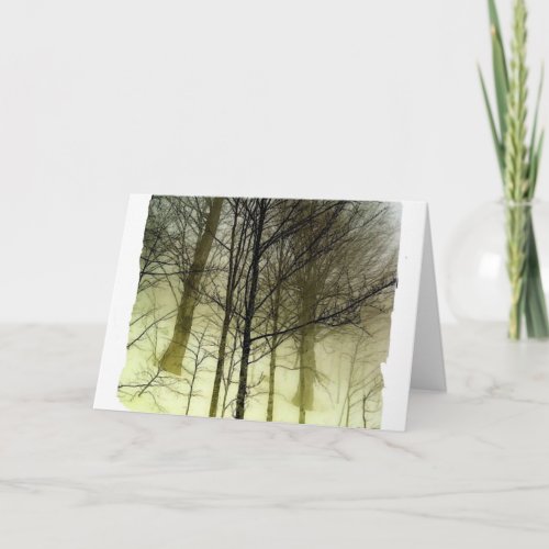 Snow Covered Trees Card