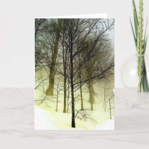 Snow Covered Trees Holiday Card