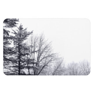 Snow-covered Trees: Horizontal Magnet