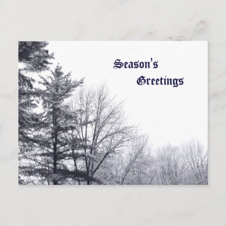 Snow-covered Trees: Horizontal Postcard