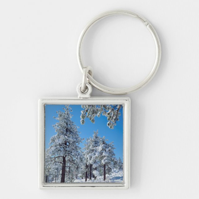 Snow-covered trees in the Laguna Mountains Keychain (Front)