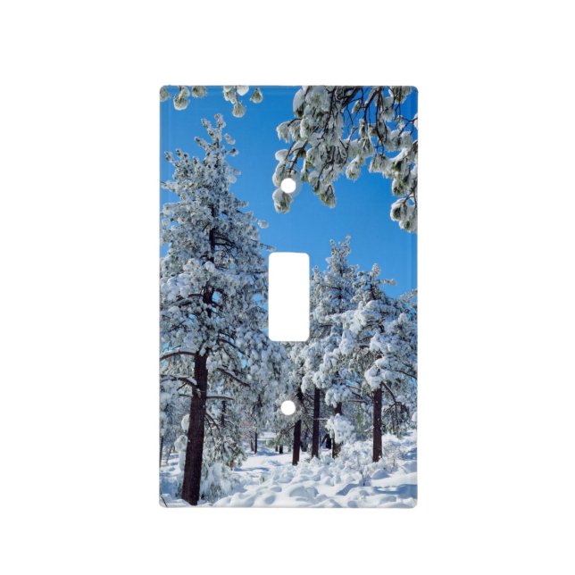 Snow-covered trees in the Laguna Mountains Light Switch Cover (Front)