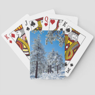 Snow-covered trees in the Laguna Mountains Poker Cards