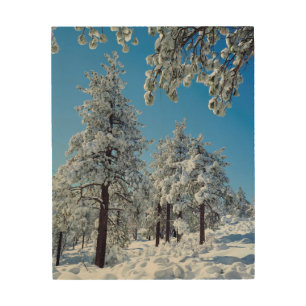 Snow-covered trees in the Laguna Mountains Wood Wall Art