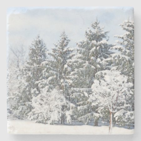 Snow-covered Trees/ Marble Stone Coaster