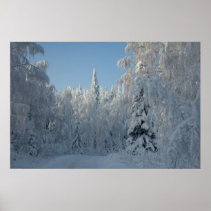Snow covered trees poster