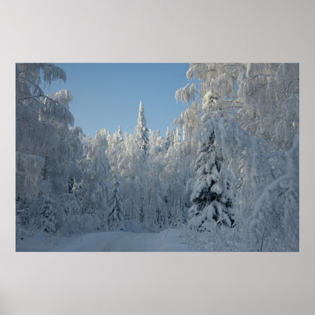 Snow covered trees poster (Front)
