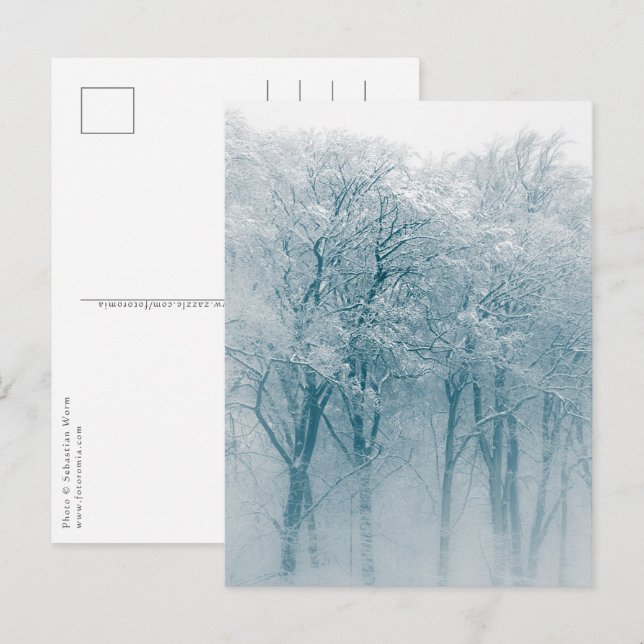 Snow-covered Trees Winter Nature Photo Postcard (Front/Back)