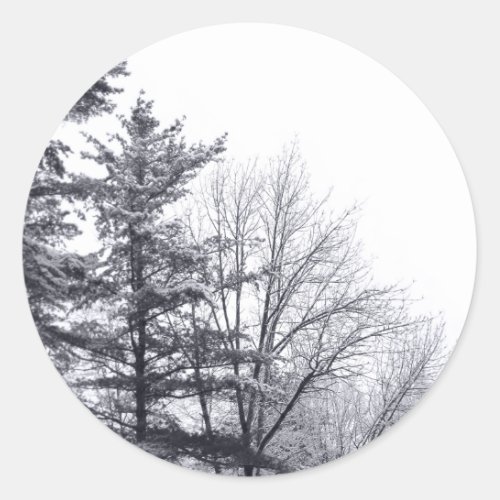 Snow Covered Trees Winter Photo Classic Round Sticker