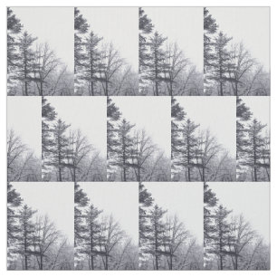 Snow-covered Trees Winter Photo Fabric