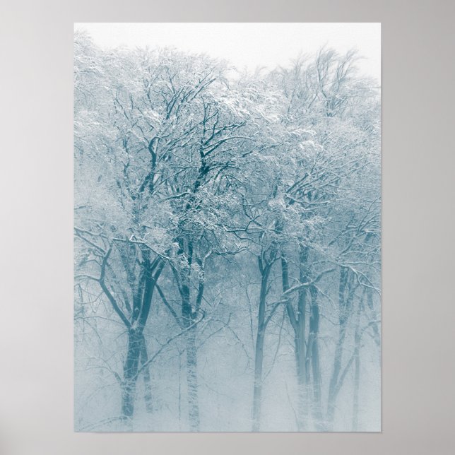 Snow-covered Trees Winter Photo Poster (Front)