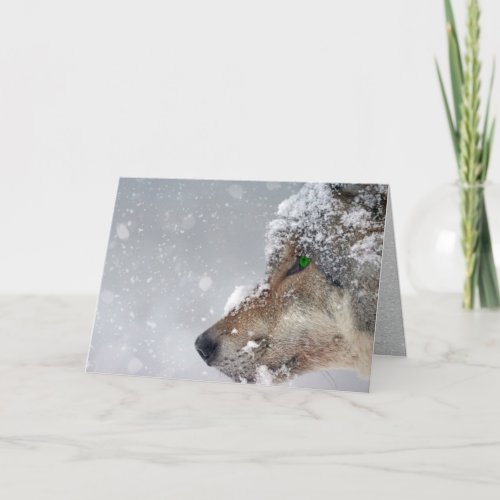 Snow_covered Wolf Face Close_up in Falling Snow Card