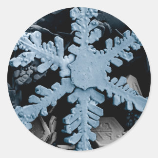 Snow Crystal 2 Classic Round Sticker