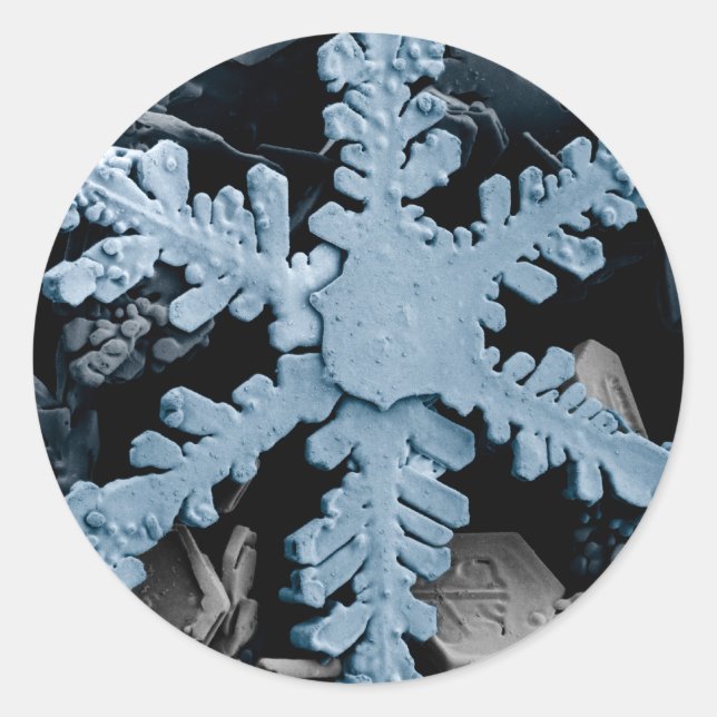 Snow Crystal 2 Classic Round Sticker (Front)