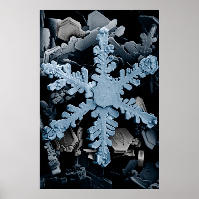 Snow Crystal 2 Poster (Front)