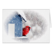 Snow Day Cardinal - Bird (Front Horizontal)