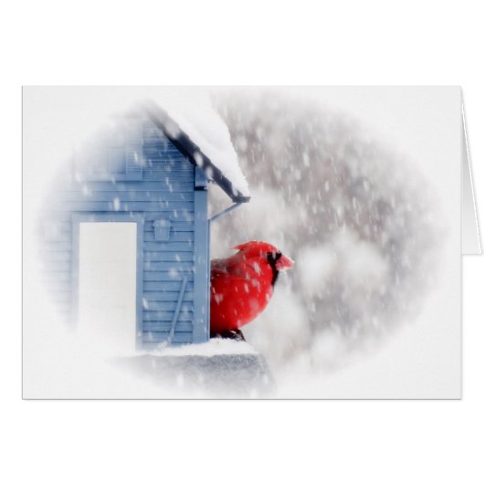 Snow Day Cardinal - Bird Cards (Front Horizontal)