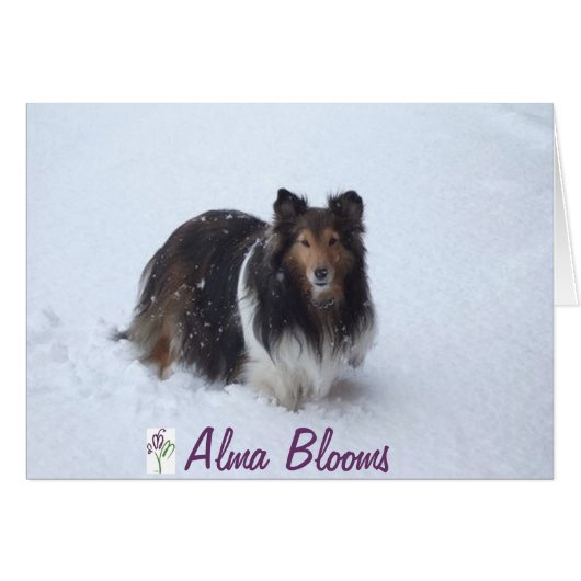 Snow Day Cards (Front Horizontal)