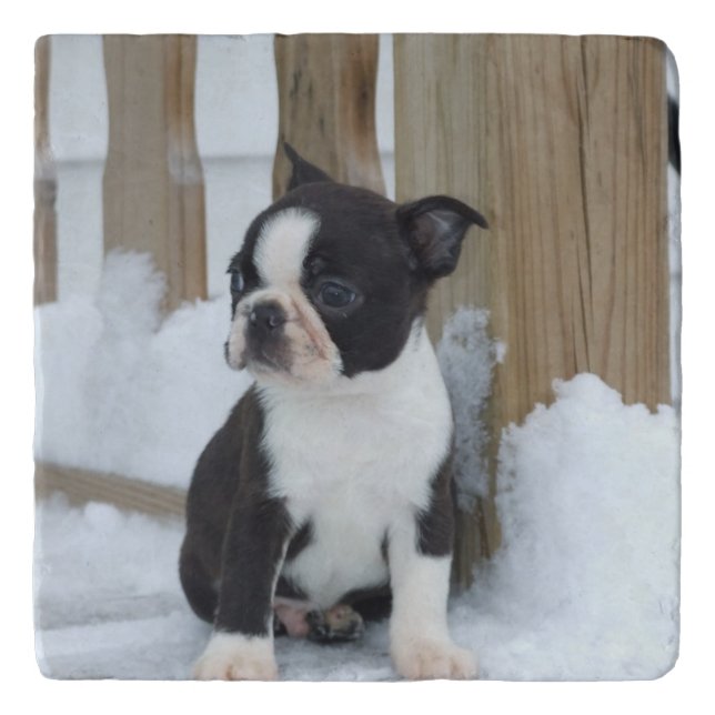 Snow Day Trivet (Front)