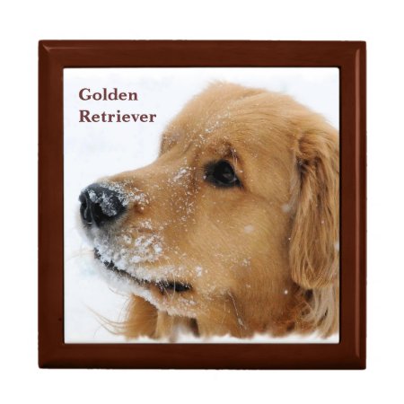 Snow Dog Golden Retriever Jewelry Box