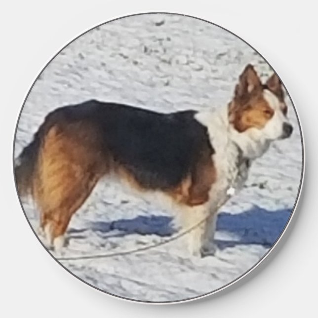 Snow Dog  Wireless Charger (Front)