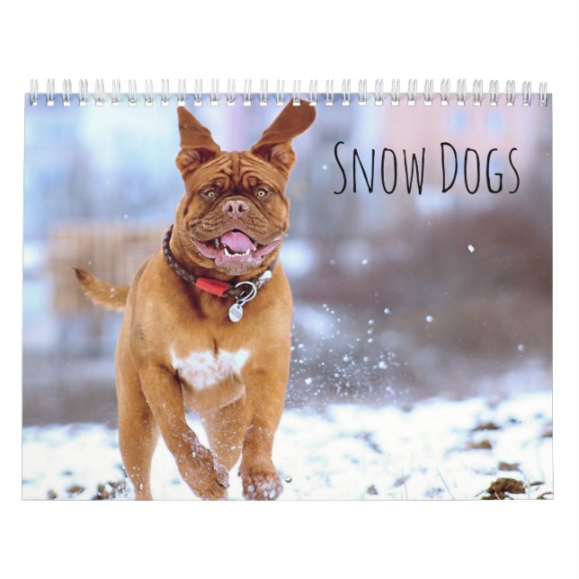 Snow Dogs Calendar (Cover)
