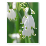 Snow Drop Lily Temporary Tattoos