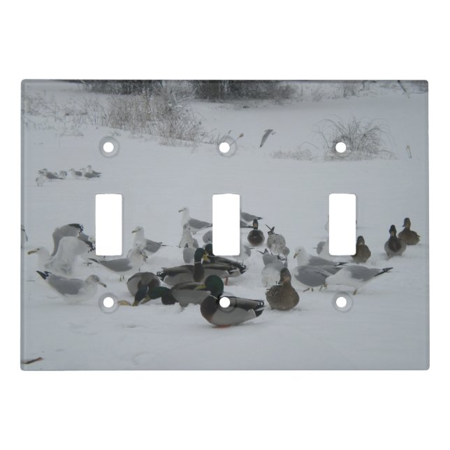 Snow Ducks Seagulls-Winter Wonderland  Light Switch Cover (Front)