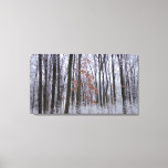 Snow Dusted Forest Winter Landscape Photography Canvas Print