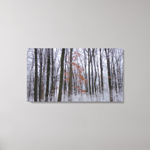 Snow Dusted Forest Winter Landscape Photography Canvas Print