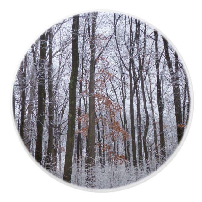 Snow Dusted Forest Winter Landscape Photography Ceramic Knob (Front)