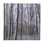 Snow Dusted Forest Winter Landscape Photography Ceramic Tile