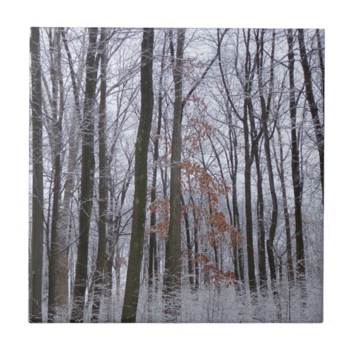 Snow Dusted Forest Winter Landscape Photography Ceramic Tile