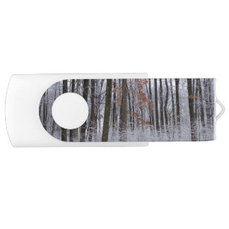 Snow Dusted Forest Winter Landscape Photography Flash Drive