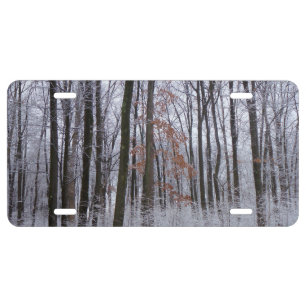 Snow Dusted Forest Winter Landscape Photography License Plate