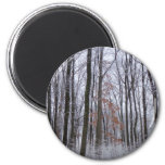 Snow Dusted Forest Winter Landscape Photography Magnet