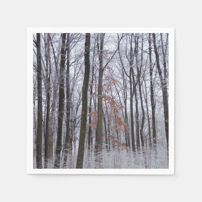 Snow Dusted Forest Winter Landscape Photography Napkins (Front)