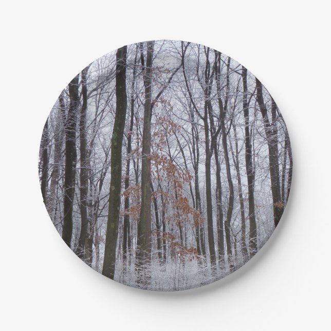 Snow Dusted Forest Winter Landscape Photography Paper Plates (Front)