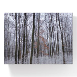 Snow Dusted Forest Winter Landscape Photography Paperweight