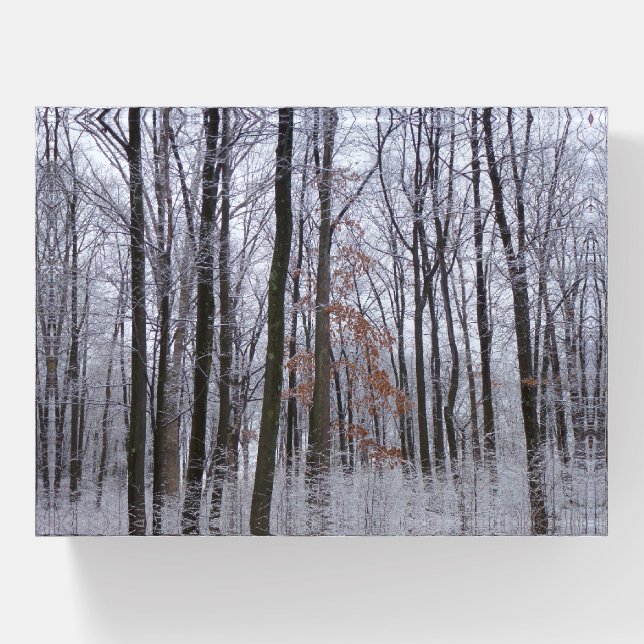 Snow Dusted Forest Winter Landscape Photography Paperweight (Front)